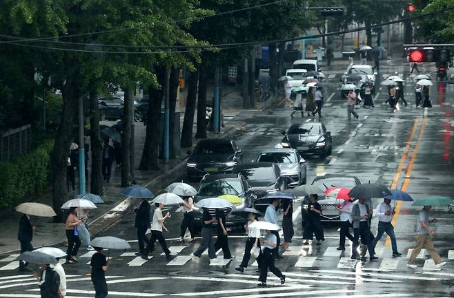 전국에 장맛비가 내리는 지난 20일 오후 서울 종로구 도렴동 횡단보도에서 인근 직장인들이 우산을 쓰고 걸어가고 있다. /사진=뉴시스.