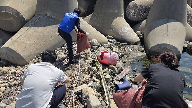 해안가 쓰레기를 수거하는 울산지역 해양항만 관계자들 [촬영 장지현]