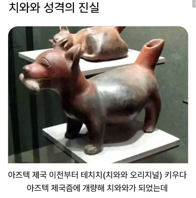 13762.webp 고대부터 인정된 것.jpg