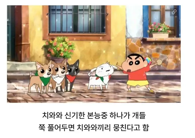 13765.webp 고대부터 인정된 것.jpg