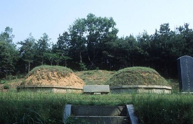 경기도 화성시 비봉면에 있는 남이장군 부부 쌍분묘. 경기도기념물 13호다. [사진 한국학중앙연구원]