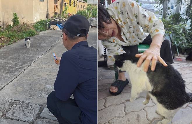 잃어버린 고양이를 22일 만에 21㎞ 떨어진 곳에서 찾아 재회한 사연이 공개돼 누리꾼들의 마음을 울리고 있다(인스타그램 nero_somang 제공). ⓒ 뉴스1