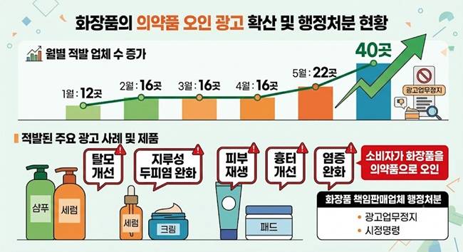 화장품의 의약품 오인 광고 적발 현황 /그래픽=생성형AI