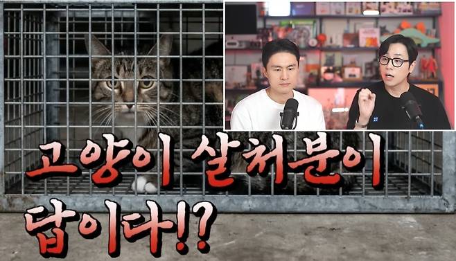 나응식 수의사와 이학범 수의사는 지난 28일 유튜브 '냥신TV'를 통해 길고양이 살처분 주장을 정면 비판하는 라이브 방송을 진행했다(유튜브 냥신TV 갈무리). ⓒ 뉴스1