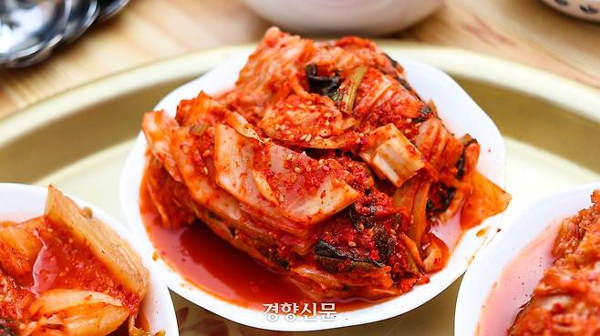 김치. 경향신문 자료사진