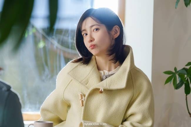 나무엑터스 제공