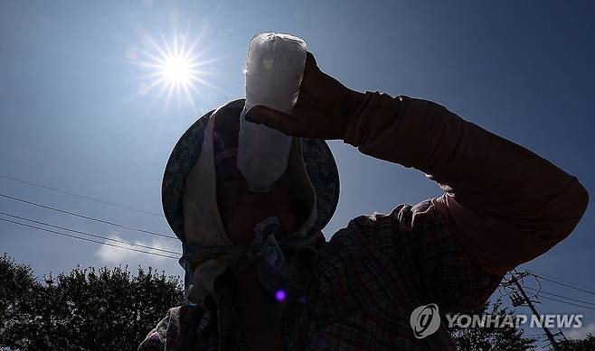 폭염, 수분 보충은 필수 [연합뉴스 자료사진] *기사와 관련이 없는 자료사진입니다.
