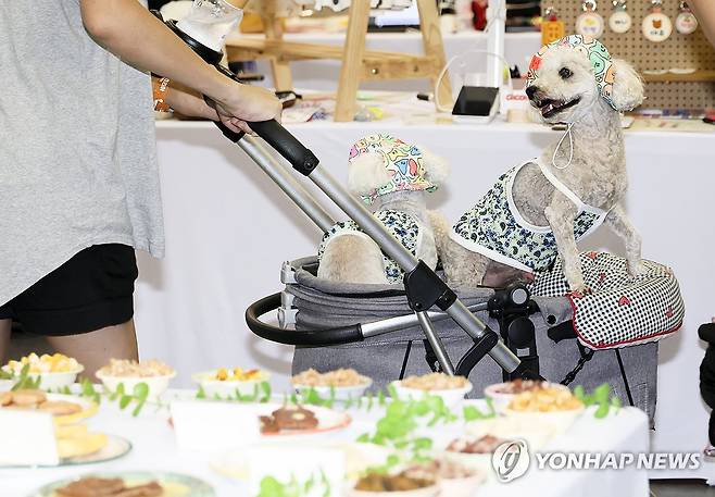 간식 관심 보이는 강아지 (고양=연합뉴스) 김병만 기자 = 24일 경기도 고양 킨텍스에서 열린 대한민국 반려동물 산업 전문 전시회 '2026 펫쇼 코리아(하)'에서 나들이 온 강아지가 간식에 관심을 보이고 있다. 2026.7.24 kimb01@yna.co.kr