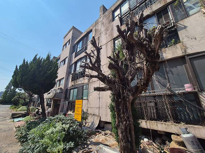 지은 지 44년 된 노후 주택 건물 외벽은 곳곳에 금이 가고 곰팡이가 피었다. 안대훈 기자