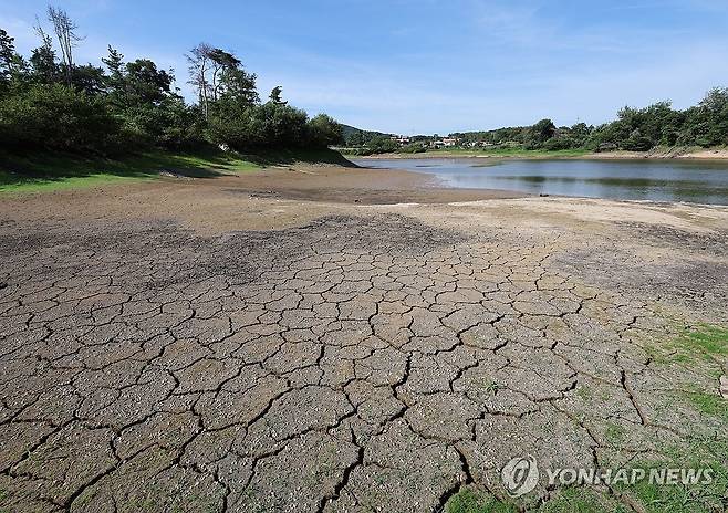가뭄에 바닥 드러난 저수지 (울산=연합뉴스) 김용태 기자 = 울산에 폭염과 함께 가뭄까지 겹치면서 각종 용수를 공급하는 저수지 물이 말라가고 있다. 지난달 31일 저수율 7.5%를 기록한 울산 울주군 언양읍 오룡저수지의 갈라진 바닥이 드러나 있다. 2026.7.31 yongtae@yna.co.kr