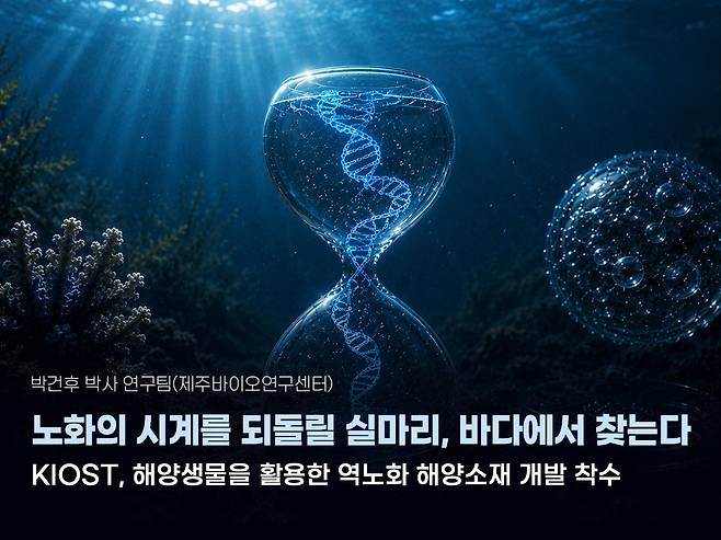 해양생물 노화 저항성 연구 [한국해양과학기술원 제공]