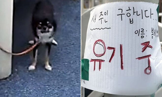 지난 1일 오후 충북 청주의 한 놀이터에 유기된 반려견 모습과 함께 있던 메모. [SNS 캡처]