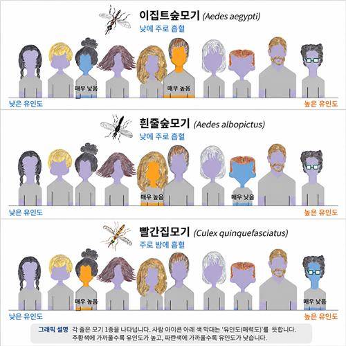 모기 종별 사람 유인도 비교  ChatGPT 활용 제작 인포그래픽 [iScience, Matthew DeGennaro et al.제공. 재판매 및 DB 금지]