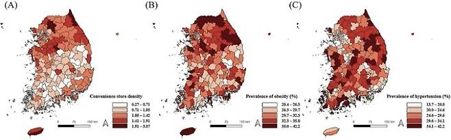 지역별 편의점 밀도 및 만성질환 유병률 분포. (A) 편의점 밀도, (B) 비만 유병률, (C) 고혈압 유병률 [논문 발췌]