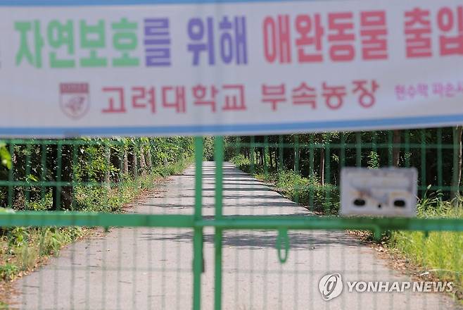 남양주 덕소농장 공공주택지구 후보지 (남양주=연합뉴스) 류영석 기자 = 정부가 개발제한구역(그린벨트)을 포함한 신규 택지 10만가구 등 수도권에 23만가구 이상의 추가 공급을 발표한 13일 그린벨트 중 신규 택지지구로 선정된 경기 남양주시 와부읍 고려대학교 덕소농장 출입구 모습.
    이 구역에는 공공주택 2만1천700가구를 건설하면서 농생명 바이오클러스터도 조성할 계획이다. 2026.8.13 ondol@yna.co.kr