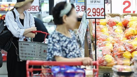 대형마트에서 장 보는 소비자. [출처=연합뉴스]