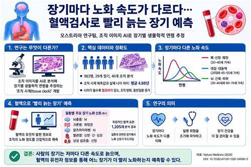 "장기마다 노화속도 달라…혈액검사로 빨리 늙는 장기 예측" ChatGPT 활용 제작 인포그래픽 [Nature Medicine, Ernesto Abila et al. 제공. 재판매 및 DB 금지]