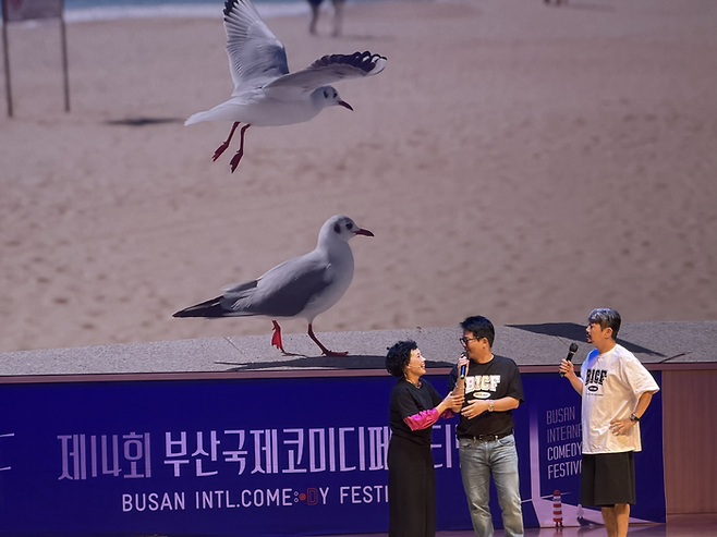 신봉선, 김준호, 김대희 ⓒ데일리안 전지원 기자
