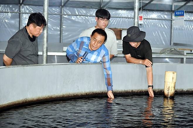 지난 23일 김세훈 화천군수가 산천어 양식장을 찾아 산천어 생육 상태와 양식 현황을 점검하고 있다. /제공=화천군