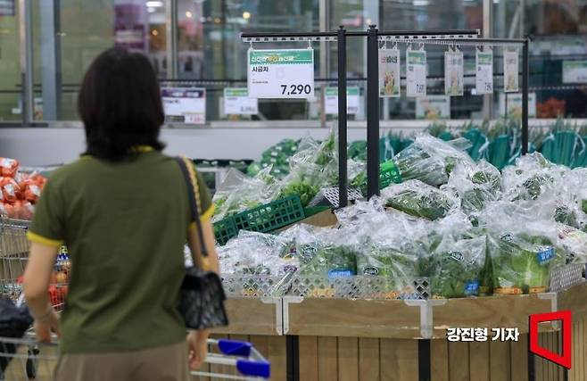 서울 서초구 하나로마트 양재점을 찾은 고객들이 장을 보고 있다. 강진형 기자