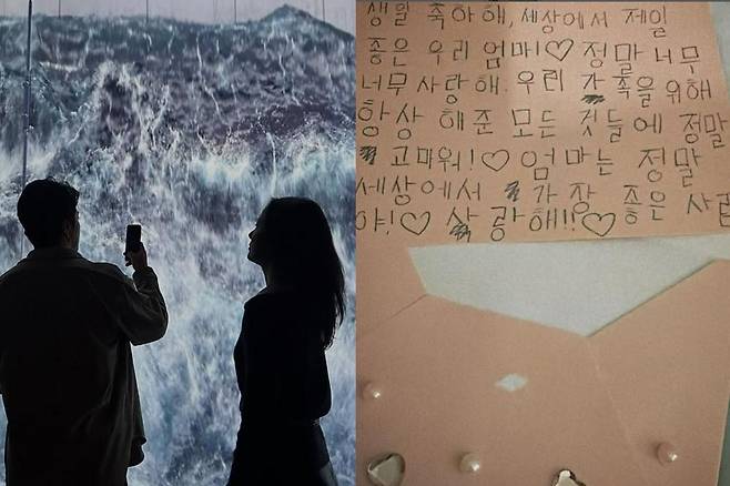 출처:손태영