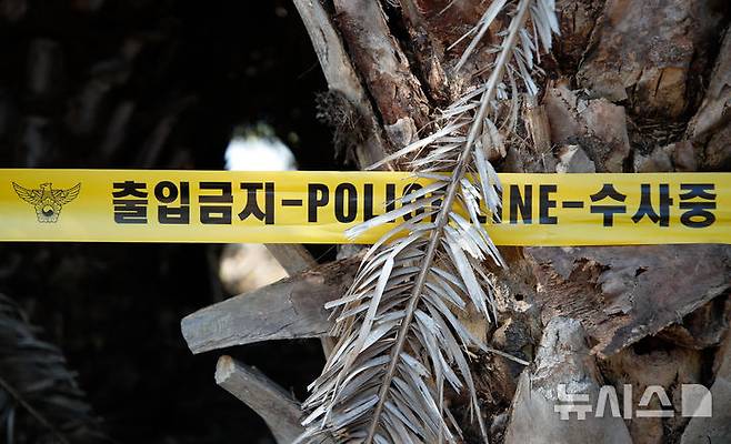 [제주=뉴시스] 우장호 기자 = '제주 실종자 허위 종결' 사건 파문이 이어지는 26일 오전 장미란(37)씨의 시신이 발견된 제주시 한림읍의 한 야자수 나무에 경찰이 친 폴리스라인이 둘러져 있다. 2026.08.26. woo1223@newsis.com