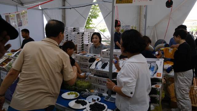 ▲ 영동포도축제' 시식·판매장이 첫날부터 방문객들로 붐비고 있다./영동군 제공
