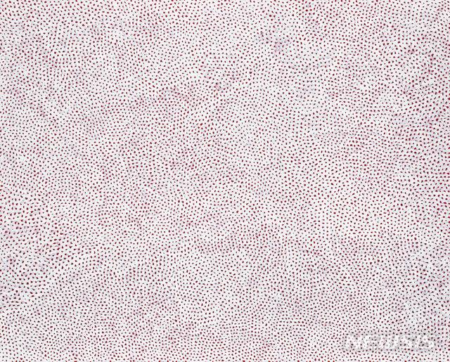 [서울=뉴시스] 14억5000만원에 낙찰된 야요이 쿠사마, '인피니티 네트 Infinity-Nets', acrylic on canvas, 130.3☓162cm, 2007. 사진= 서울옥션 제공.2020.3.25. photo@newsis.com