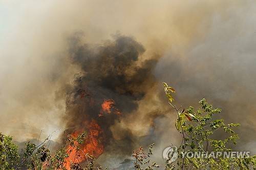 콜롬비아 산불 [EPA=연합뉴스]