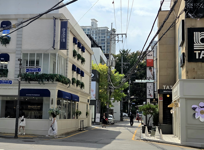 지난 27일 서울 강남구 도산공원 일대 골목 사이로 락피쉬웨더웨어 도산점과 블루엘리펀트 도산쇼룸이 보이는 모습. 외국인 관광객으로 보이는 이들은 사진을 촬영하고 있다. [김혜진 기자]