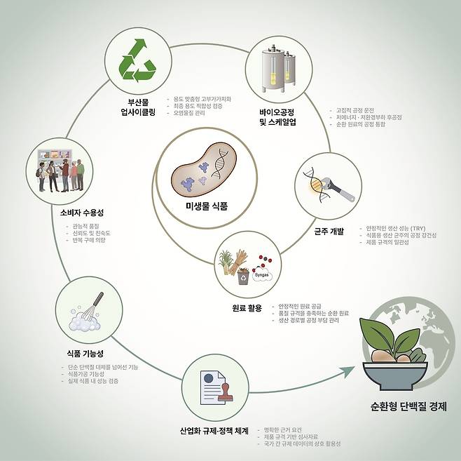 미생물 식품 산업화를 좌우하는 핵심 조건과 확장 경로를 도식화한 개념도.[KAIST 제공]