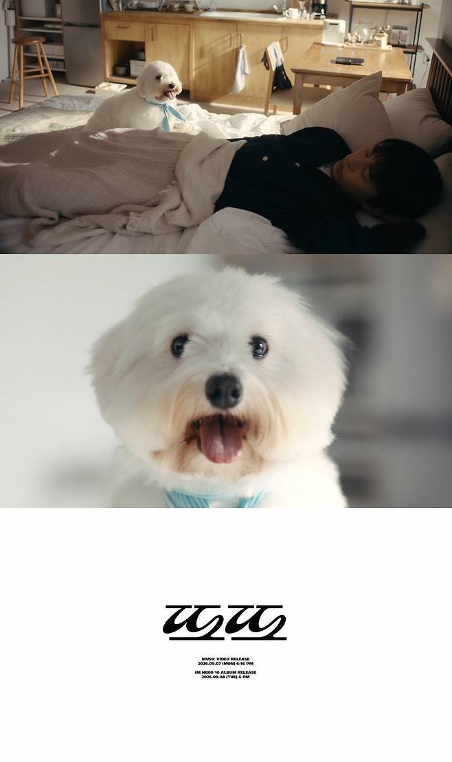 사진 제공 : 물고기뮤직