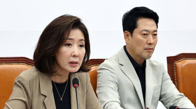나경원 의원 코리아 보드게임즈 김길오 용혜인 청문회 검증