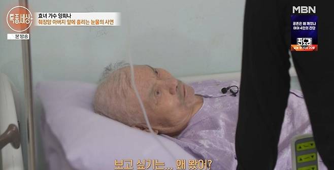 출처:MBN '특종세상'