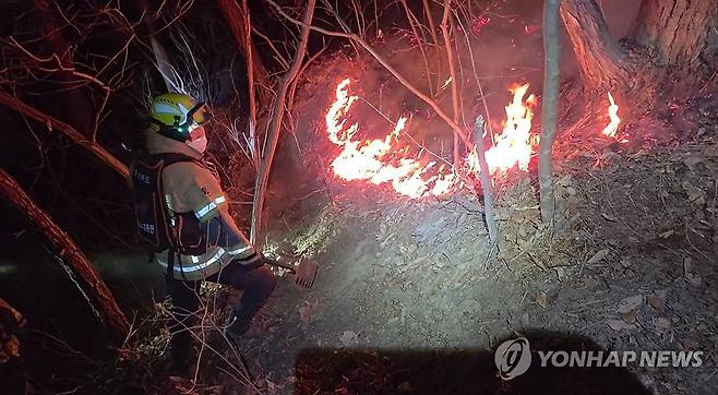 야간에도 경주 산불 진화 (경주=연합뉴스) 8일 저녁 경북 경주시 문무대왕면에서 소방관계자들이 산불 진화 작업을 하고 있다. 전날 문무대왕면 일대에서 발생한 산불은 이날 오후 6시께 주불이 진화됐다가 이후 불길이 다시 살아난 것으로 알려졌다. 2026.2.8 [경북소방본부 제공. 재판매 및 DB 금지] mtkht@yna.co.kr