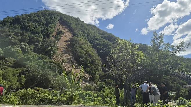 ◇4일 홍천군 서면 모곡리의 한 산에서 발생산 산사태. 해발 320ｍ 높이의 산으로 토사 붕괴는 정상 아래 약 20ｍ 지점에서 시작됐다. 사진=고은기자