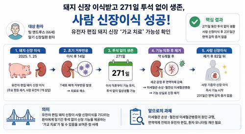 "돼지 신장 이식받고 271일 투석없이 생존…사람 신장이식 성공" ChatGPT 활용 제작 인포그래픽 [The Lancet, Leonardo Riella et al. 제공. 재판매 및 DB 금지]