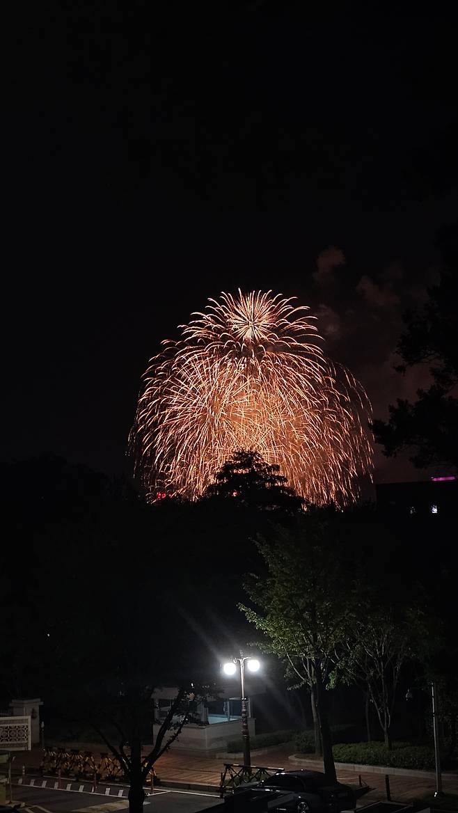 작년 여의도 불꽃축제 때 국회에서 촬영한 사진. 국회 의원회관이나 의정관, 사랑재 등이 국회 경내 불꽃축제 명당으로 꼽힌다./독자 제공