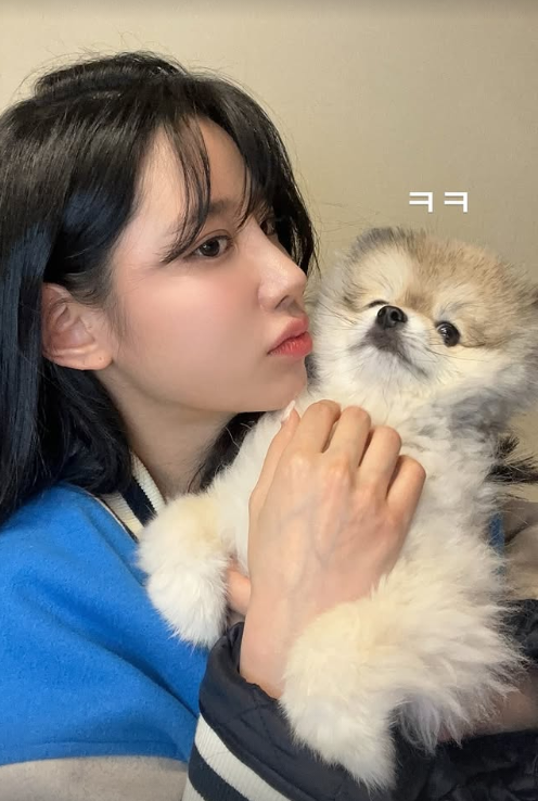 사진|SNS