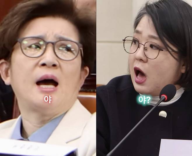지난해 2월 청문회 당시 충돌한 강선영 국민의힘 의원(왼쪽)과 용혜인 기본소득당 의원. (이미지=유튜브 '용혜인' 캡처)