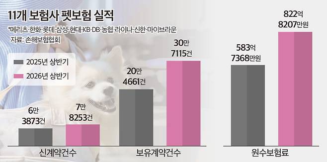 (그래픽=뉴스토마토)