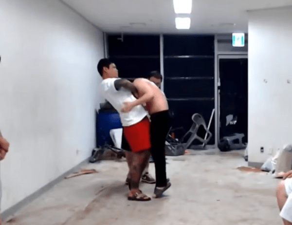 김중우 ZFN 퇴출 관련 이미지