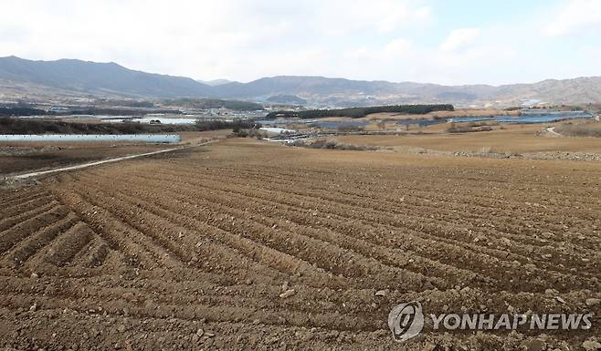 양구 해안면 농지 [연합뉴스 자료사진]