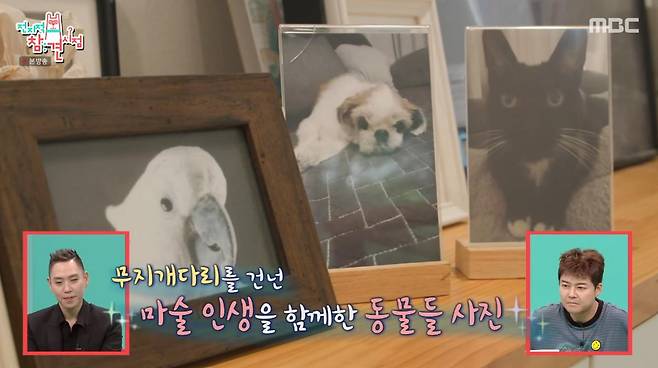 출처:MBC '전지적 참견 시점'