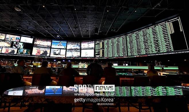 ▲ 탁구가 2026년 5월 기준 미국 콜로라도주 스포츠베팅 3위에 올랐다.