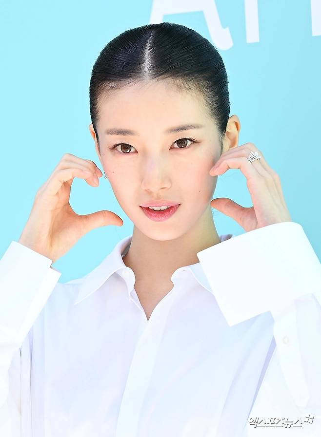 수지.