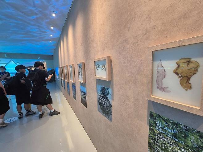 지난 16일 ‘여수세계섬박람회’를 찾은 관람객들이 주행사장을 둘러보고 있다. 전시 콘텐트 상당수가 사진과 스티커 조형물 등으로 구성돼 볼거리가 부족했다. 황희규 기자
