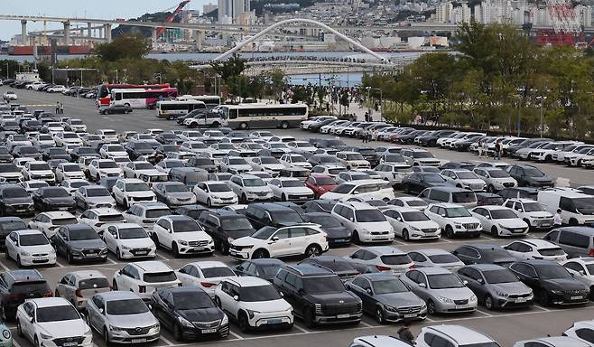 23일 부산 북항 친수공원 수로에 출몰한 상어를 보려는 시민과 관광객들이 타고 온 차량이 부산항국제여객터미널 야외주차장을 가득 메우고 있다.