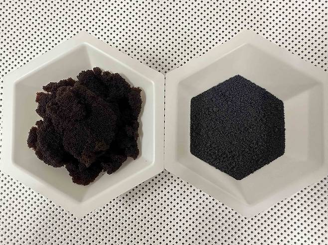 탄화처리된 폐이온교환수지. 탄화처리 전 폐수지(왼쪽), 탄화처리 후 폐수지(오른쪽).[한국원자력연구원 제공]