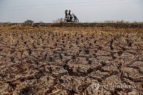 바짝 마른 인도네시아 땅 [EPA=연합뉴스]